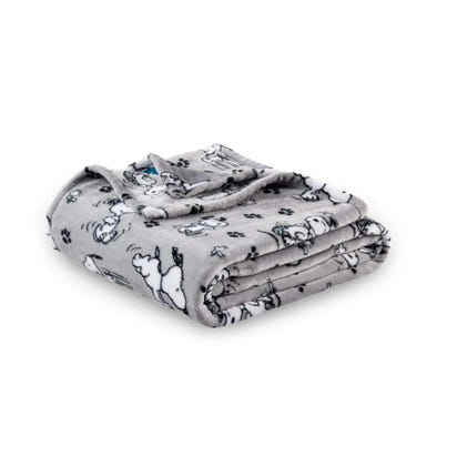 Snoopy Blanket