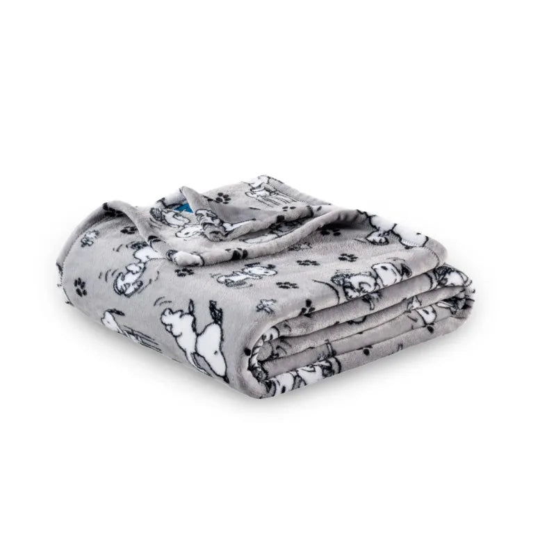 Snoopy Blanket