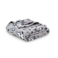 Snoopy Blanket
